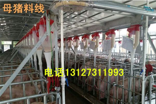 養(yǎng)豬定位欄自動(dòng)化上料設(shè)備