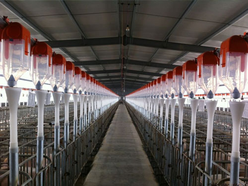 自動喂料系統(tǒng) 自動喂料系統(tǒng)