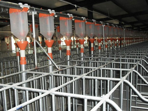 自動喂料系統(tǒng) 自動喂料系統(tǒng)