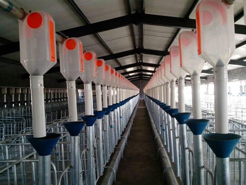 自動喂料系統(tǒng) 自動喂料系統(tǒng)