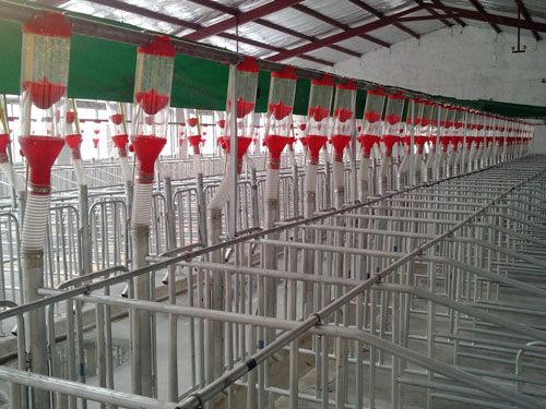 自動喂料系統(tǒng) 自動喂料系統(tǒng)