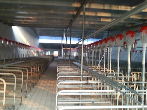 自動喂料系統(tǒng) 自動喂料系統(tǒng)