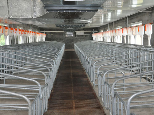 自動喂料系統(tǒng) 自動喂料系統(tǒng)