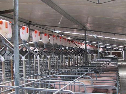 自動喂料系統(tǒng) 自動喂料系統(tǒng)