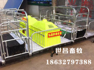 母豬產(chǎn)床