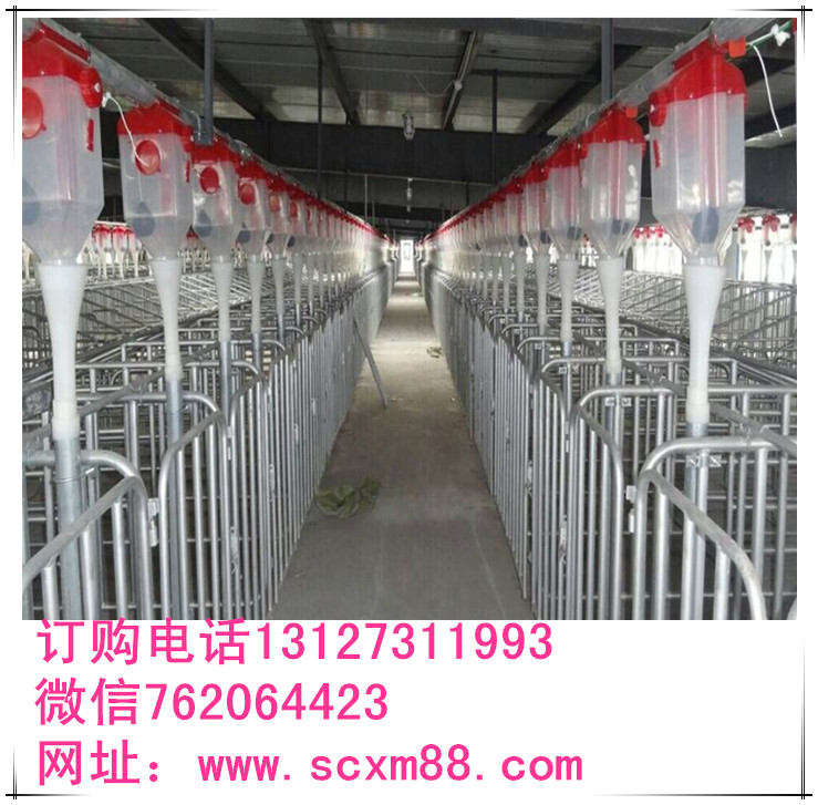 豬場自動化上料喂豬設備河北弘昌安裝專賣