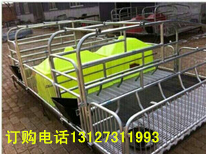 母豬產(chǎn)床