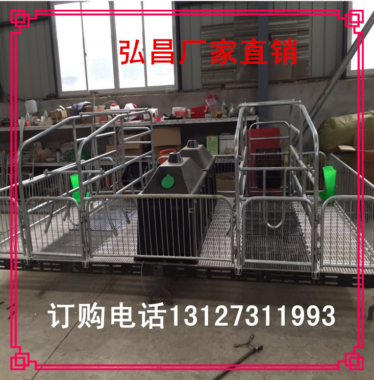 養(yǎng)豬設備雙體母豬產(chǎn)床