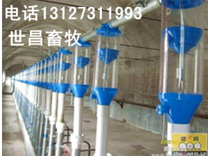 自動化料線喂豬設備