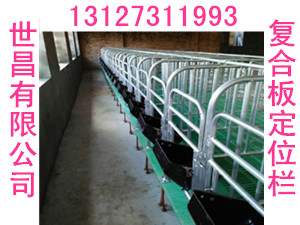 定位欄養(yǎng)豬設備