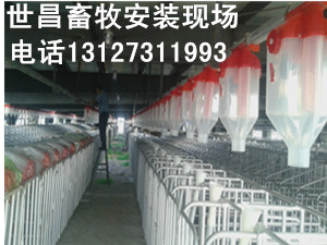 養(yǎng)豬自動(dòng)化料線自動(dòng)化上料設(shè)備