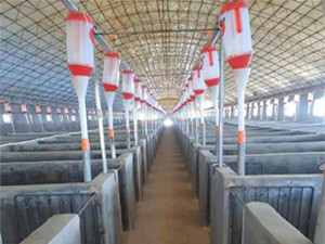 自動(dòng)料線下料管