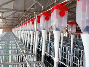 自動化養(yǎng)豬設(shè)備喂料線廠家安裝