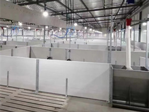 大型豬場(chǎng)自動(dòng)化下料系統(tǒng)