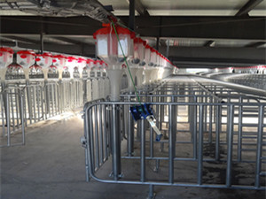 養(yǎng)殖業(yè)自動(dòng)下料線設(shè)計(jì)廠家