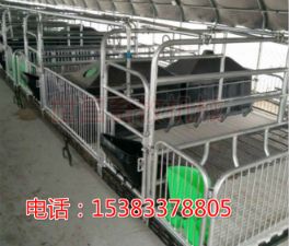 母豬產床限位欄供應廠家
