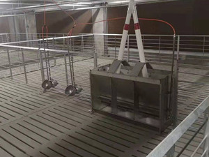 新建豬場自動(dòng)料線安裝