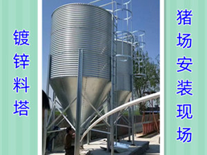 大型養(yǎng)豬場(chǎng)料塔安裝