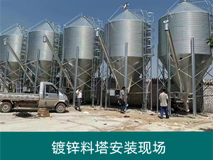 料線料塔供應(yīng)廠家