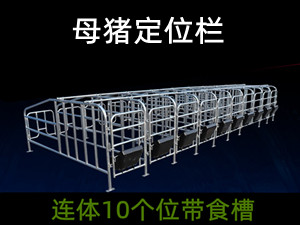 豬場(chǎng)限位欄批發(fā)