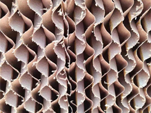 豬場(chǎng)水簾安裝