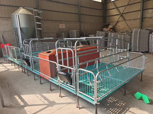 產(chǎn)保兩用母豬欄