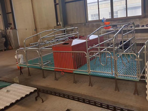 加寬母豬產(chǎn)床