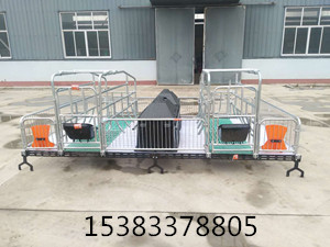 養(yǎng)豬場設備母豬產(chǎn)床批發(fā)